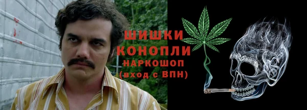 прущая мука Новодвинск