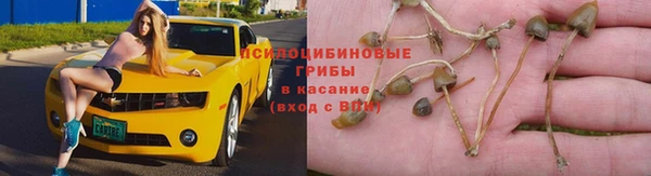 прущая мука Новодвинск
