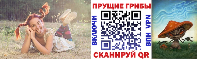 Псилоцибиновые грибы ЛСД  Беломорск 